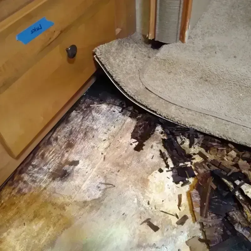 Wood Floor Water Damage in Madeira, OH